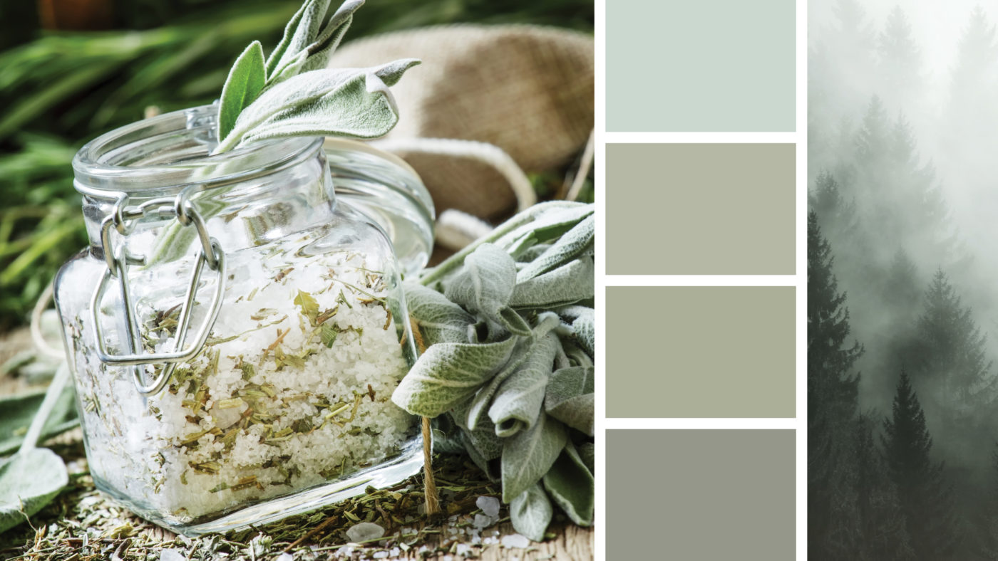 Colors of the Year: Breezeway, October Mist, Olive Sprig and Evergreen Fog