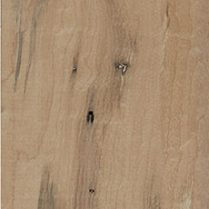 Bird pecks on cabinet wood